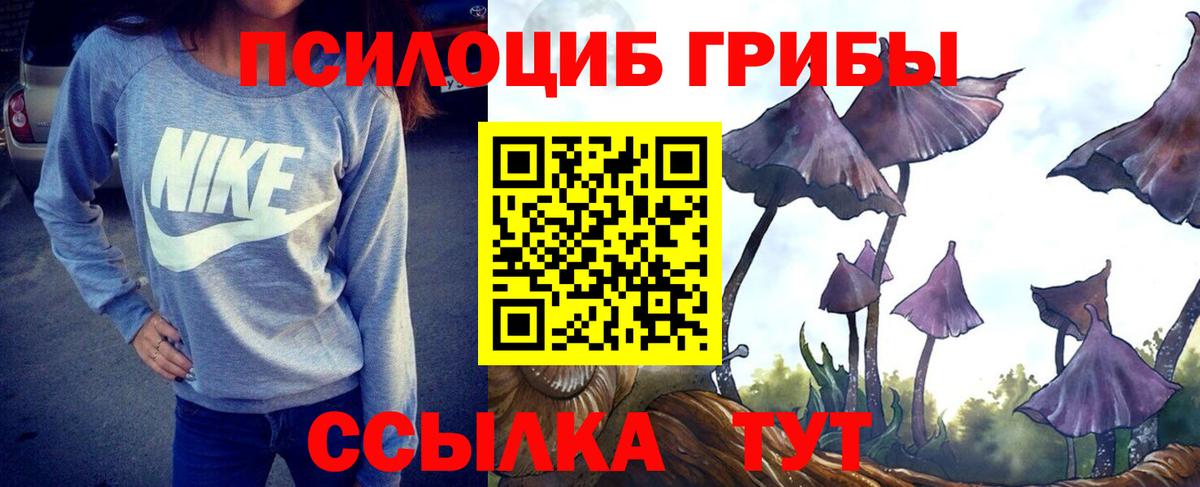 Псилоцибиновые грибы Cubensis  Вход с VPN  Кашира 